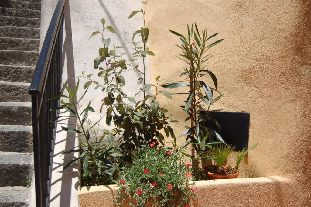 Le Casette Del Porto Di Sciacca Exterior foto